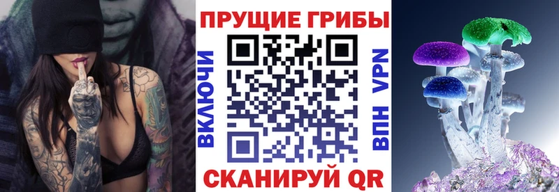 что такое   Туринск  блэк спрут рабочий сайт  Псилоцибиновые грибы MAGIC MUSHROOMS 